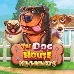 The Dog House Megaways game at Rocket Casino for Australian players