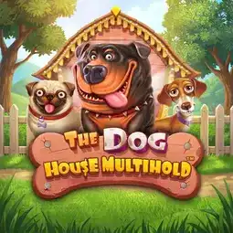 The Dog House Multihold game at Rocket Casino for Australian players